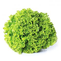 Alface Crespa Verde - Sem Agrotóxico - Unidade *