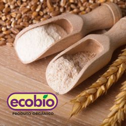Farinha de Trigo Branca -Orgânica "Ecobio" - 1 Kg - a Granel
