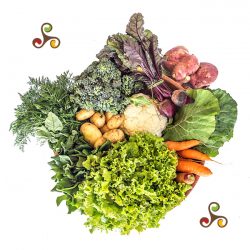 MiniCesta com 9 produtos - Sem Agrotóxicos