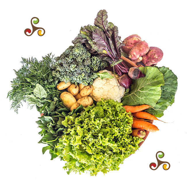MiniCesta com 9 produtos - Sem Agrotóxicos