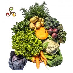 Cesta Tradicional de 12 Produtos - Sem Agrotóxicos