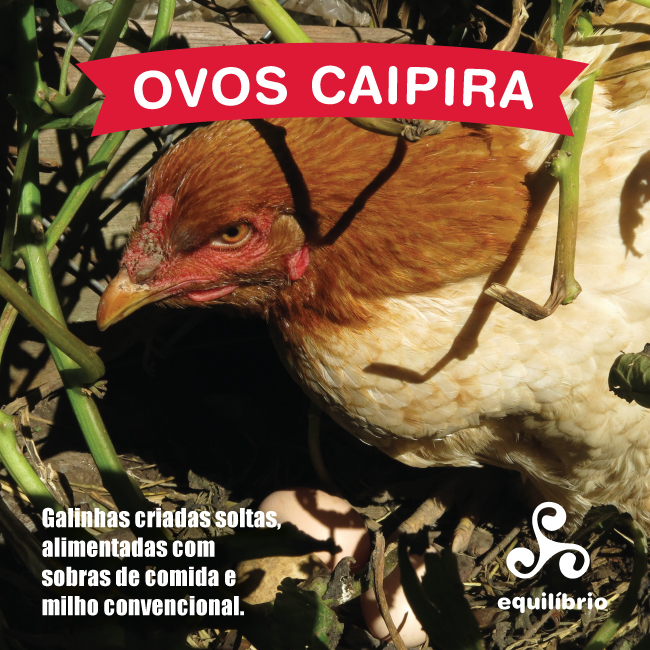 Ovos Caipira - 1 dúzia