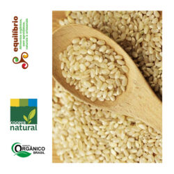 Arroz Arbóreo Integral Orgânico "CooperNatural" - 500gr