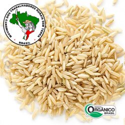 Arroz Integral Orgânico - 1kg Vácuo - MST