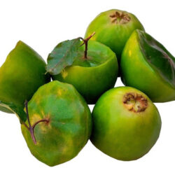 Cambuci congelado - Sem agrotóxicos - 500g