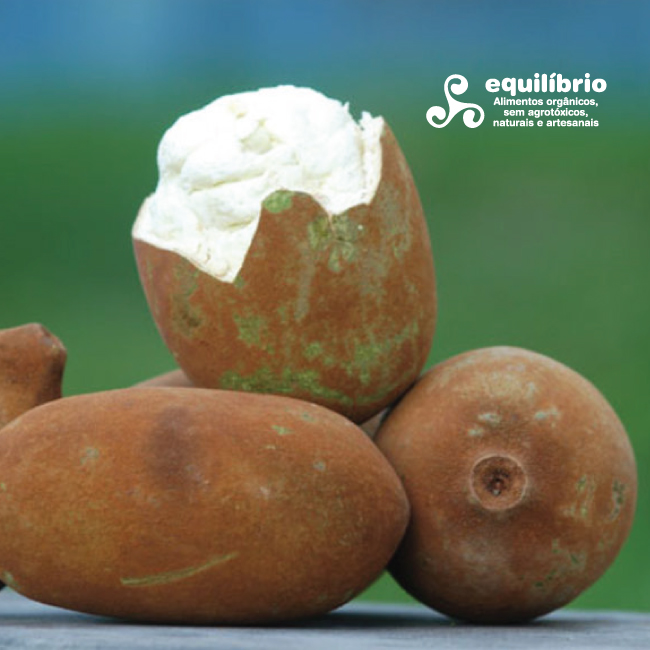 Polpa de Cupuaçu Congelada - 1kg