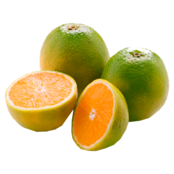 Laranja Pera orgânica - 500gs