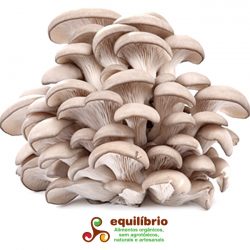 Cogumelo Shimeji - 500 gr