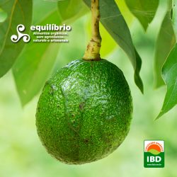 Abacate Orgânico Certificado - Unidade de 500 gs. (aprox.)