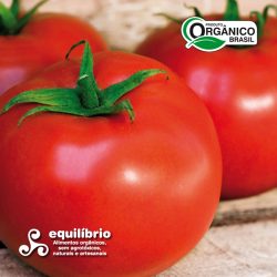 Tomate Salada Orgânico - 500g