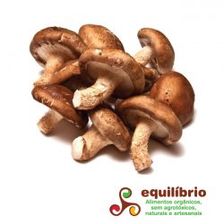 Cogumelo Shitake - 1 quilo