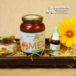 Mel Sem Agrotóxicos "Flor das Águas" - Vidro 800gr