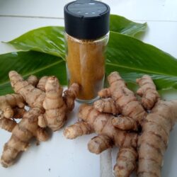 Cúrcuma em pó - "Delícia da Floresta" - 40g