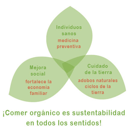 alimentos_sem_agrotoxicos